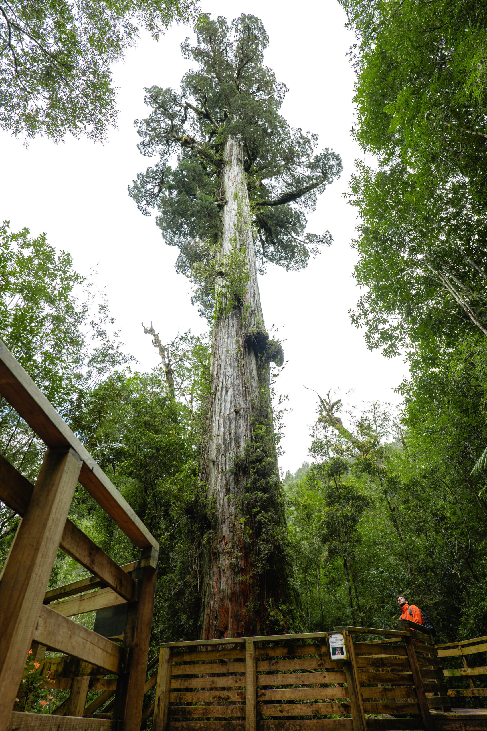 Benjamín Valenzuela