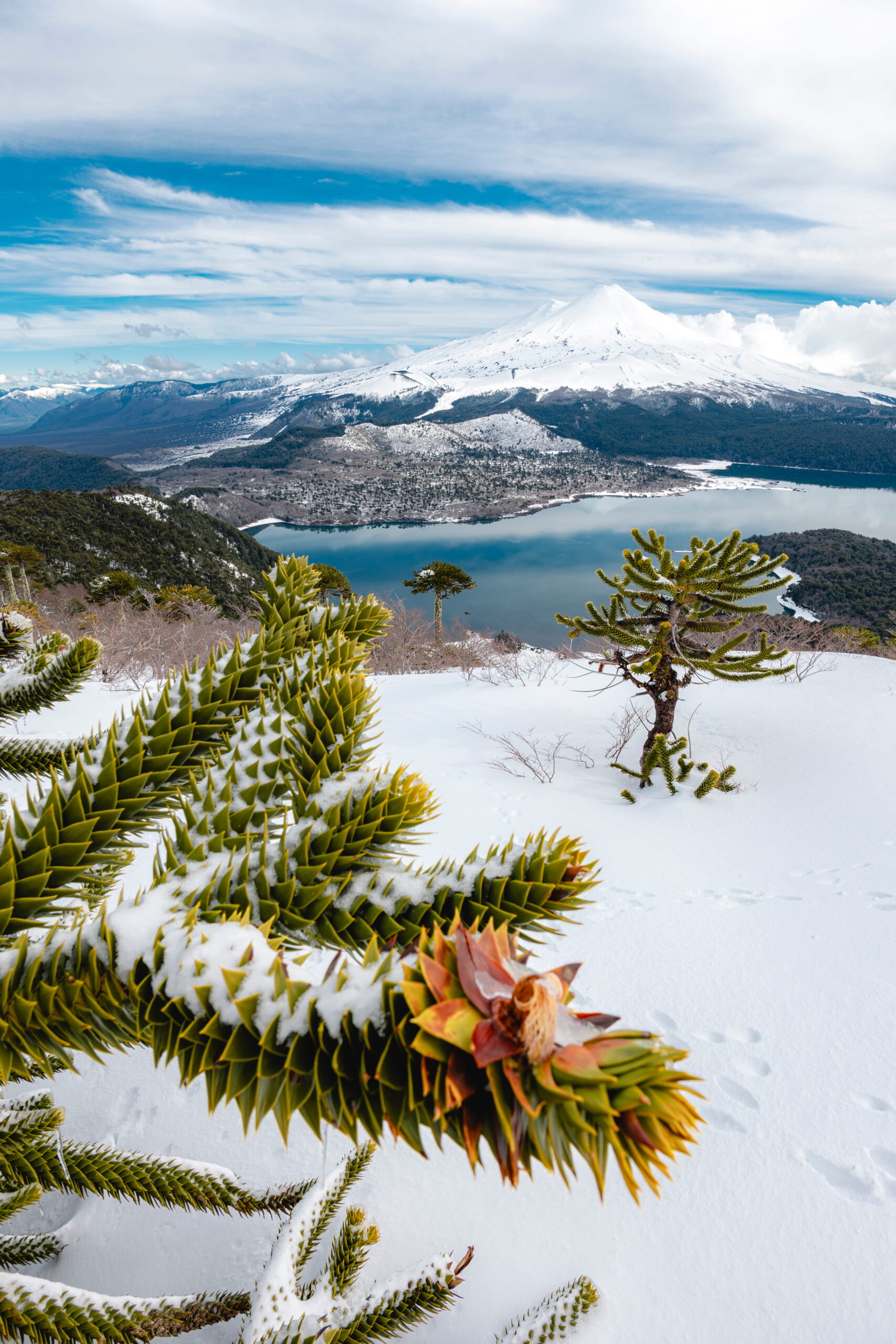 Benjamín Valenzuela