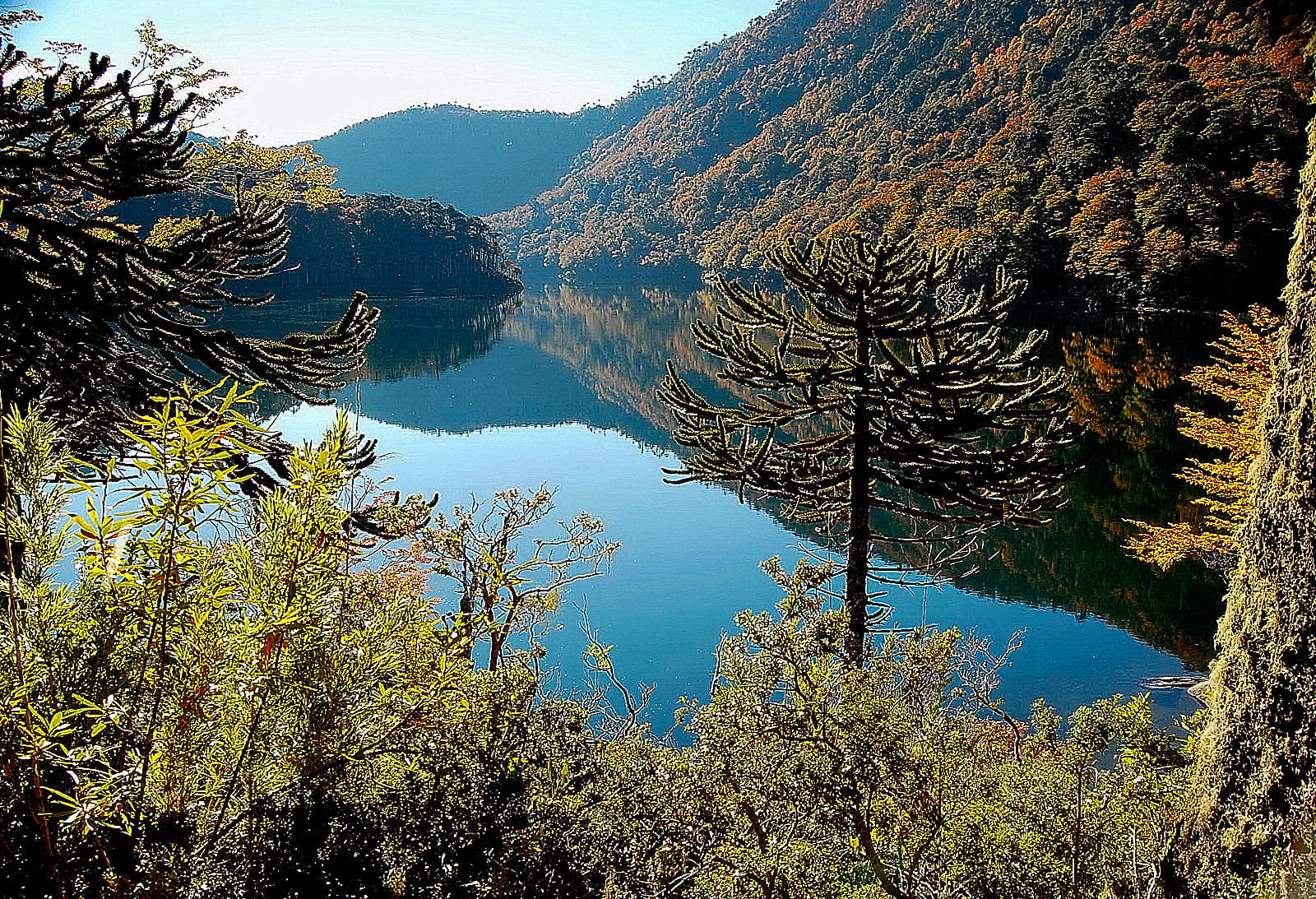 Parque Nacional Huerquehue