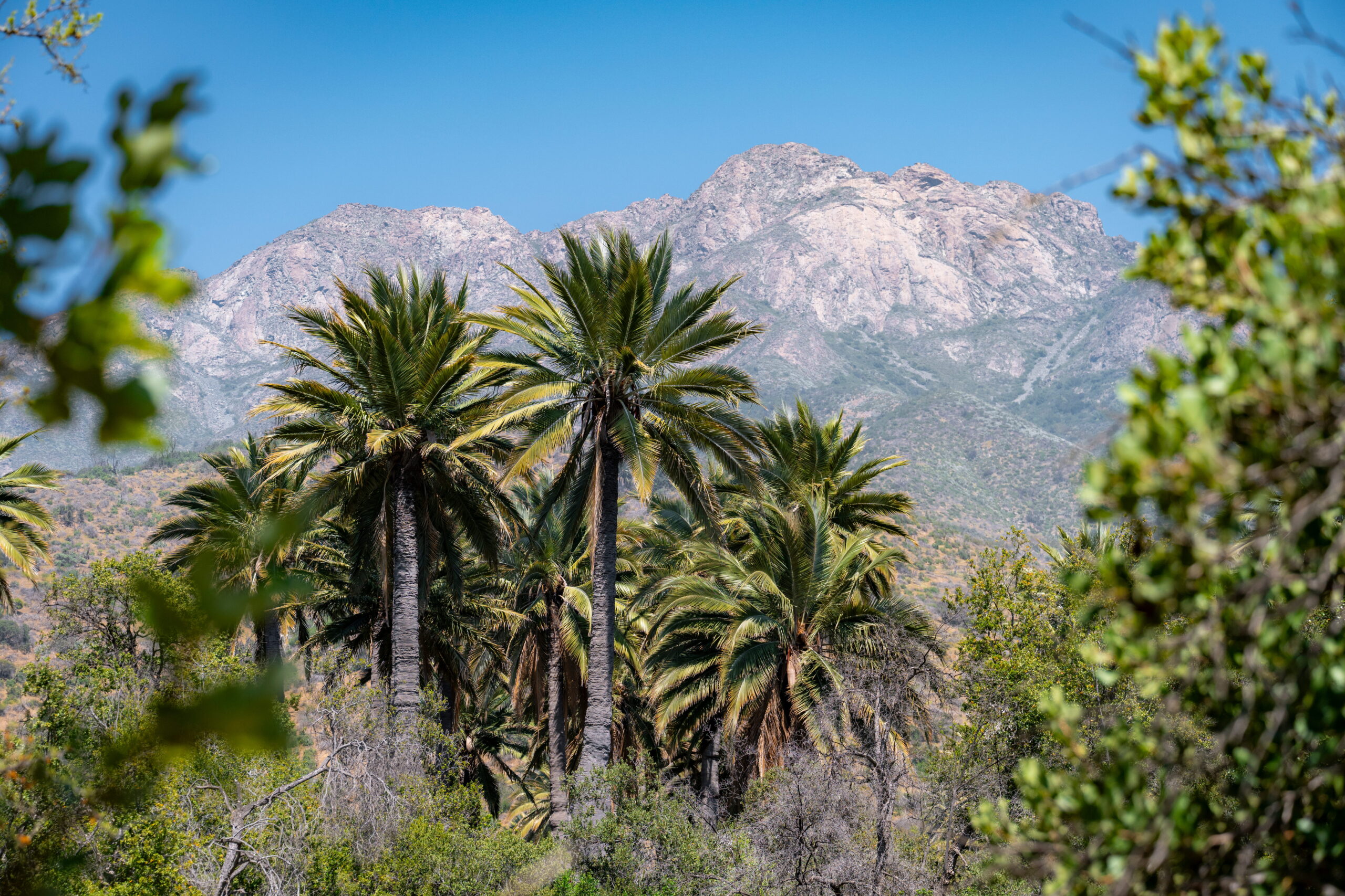 Parque Nacional La Campana