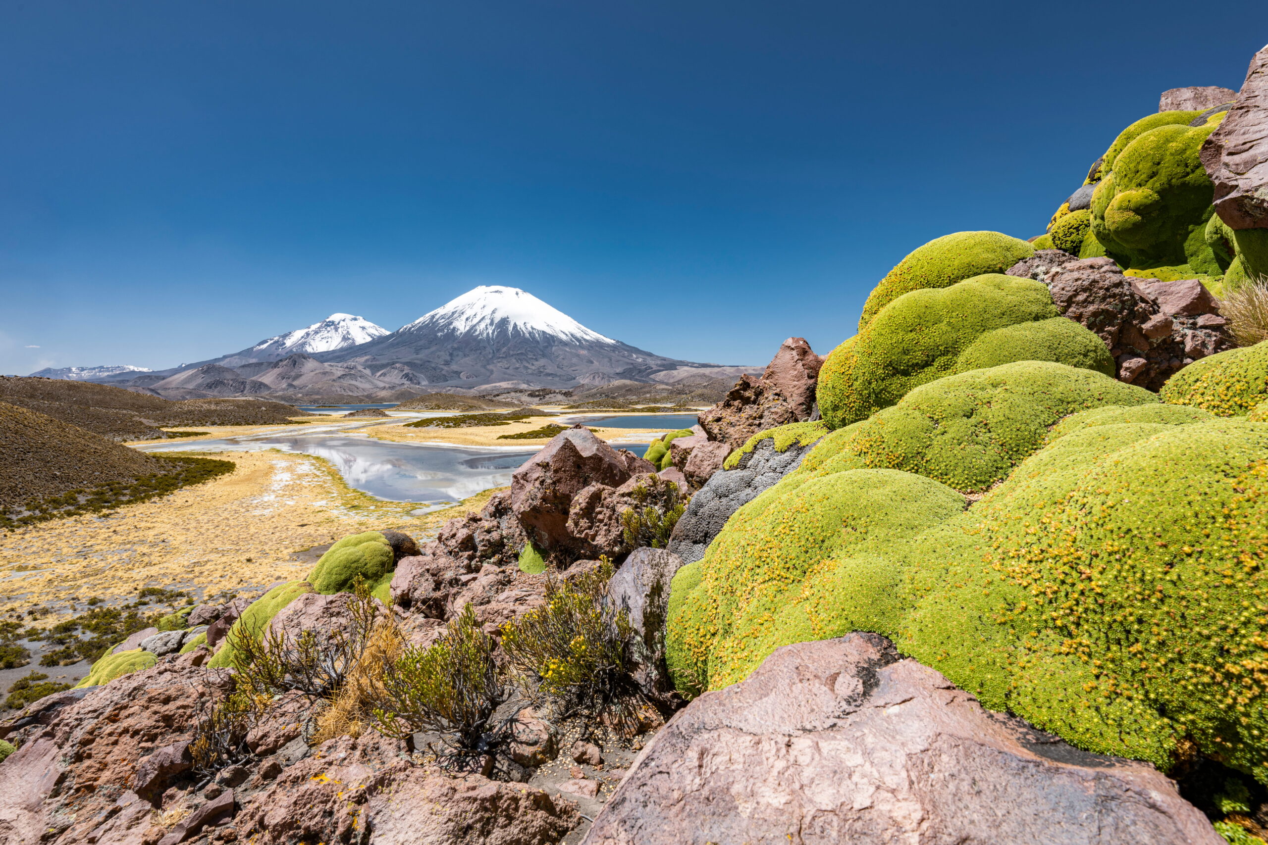 Benjamín Valenzuela