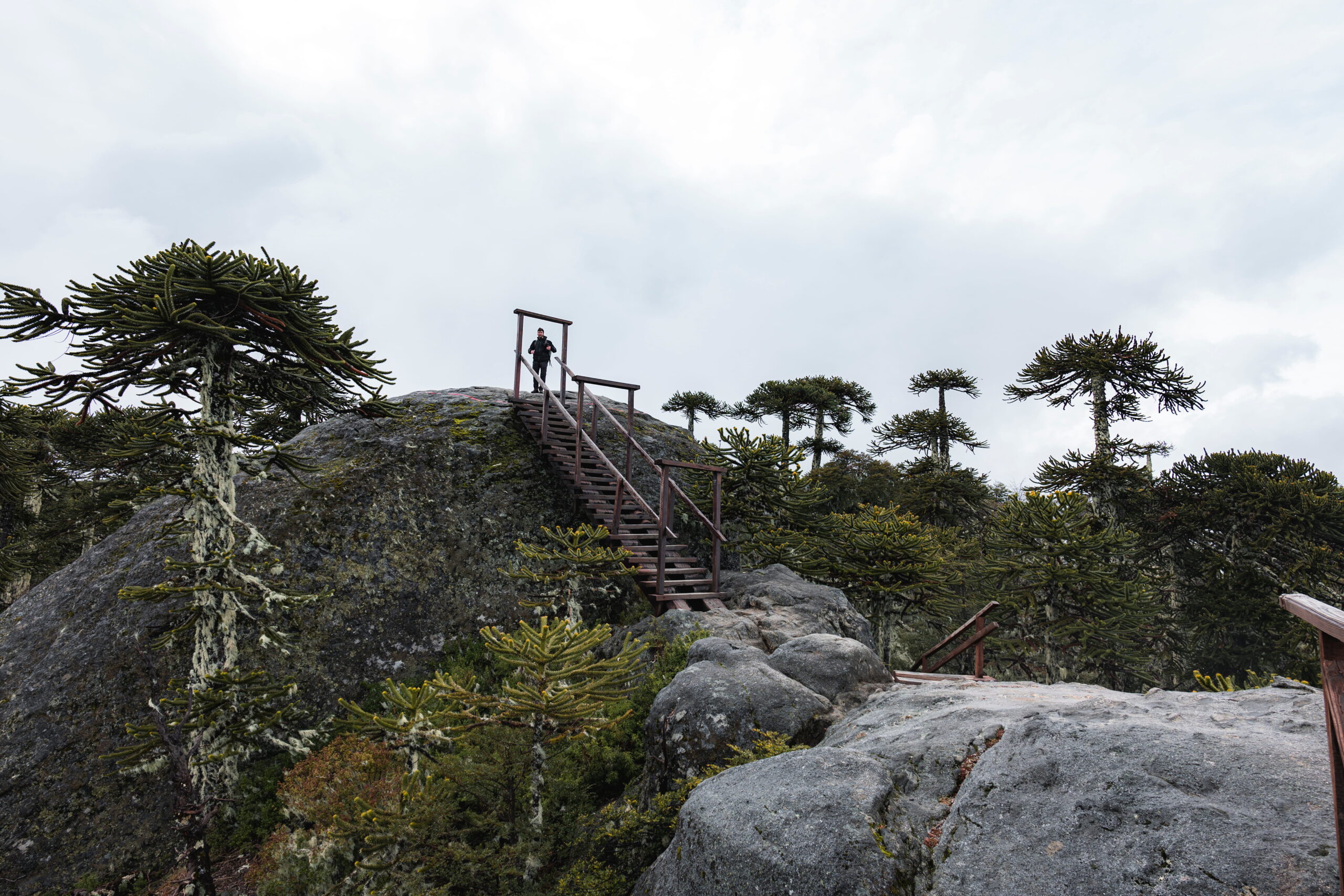 Benjamín Valenzuela