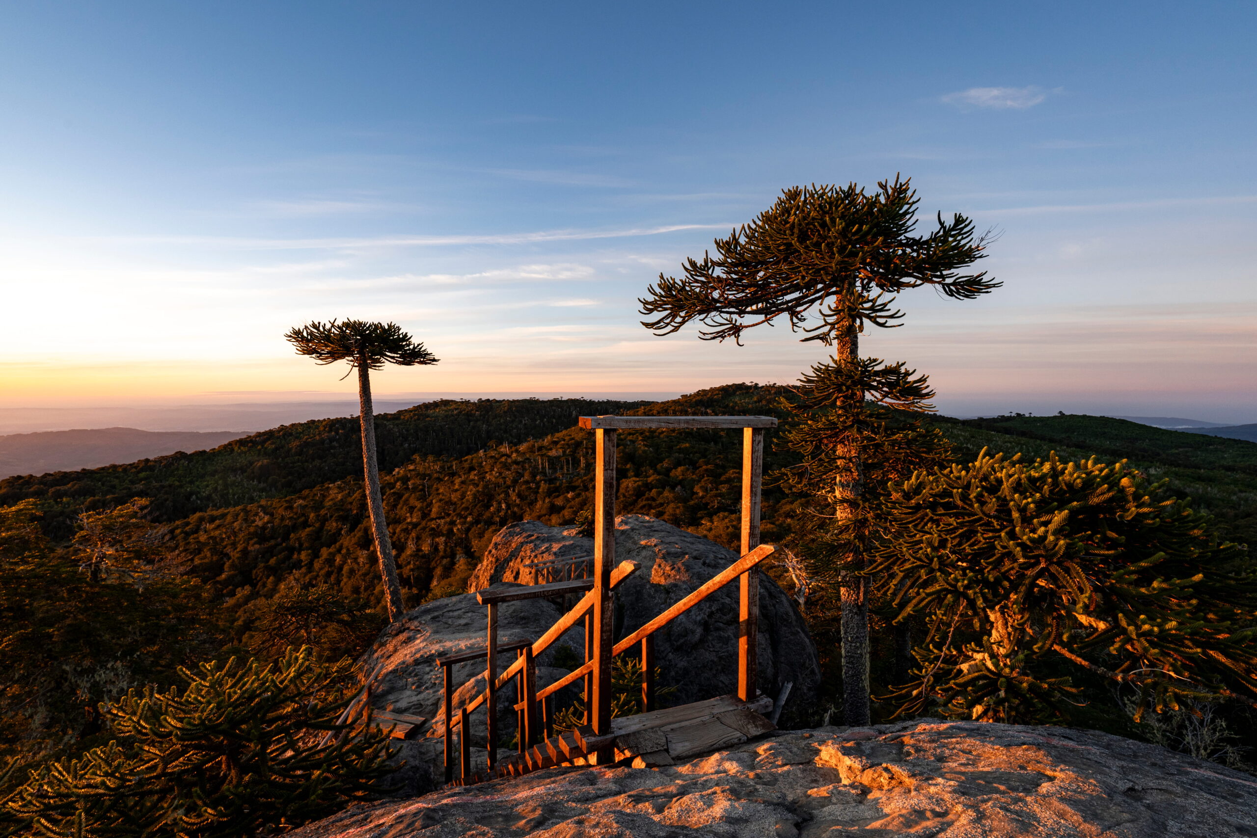Parque Nacional Nahuelbuta