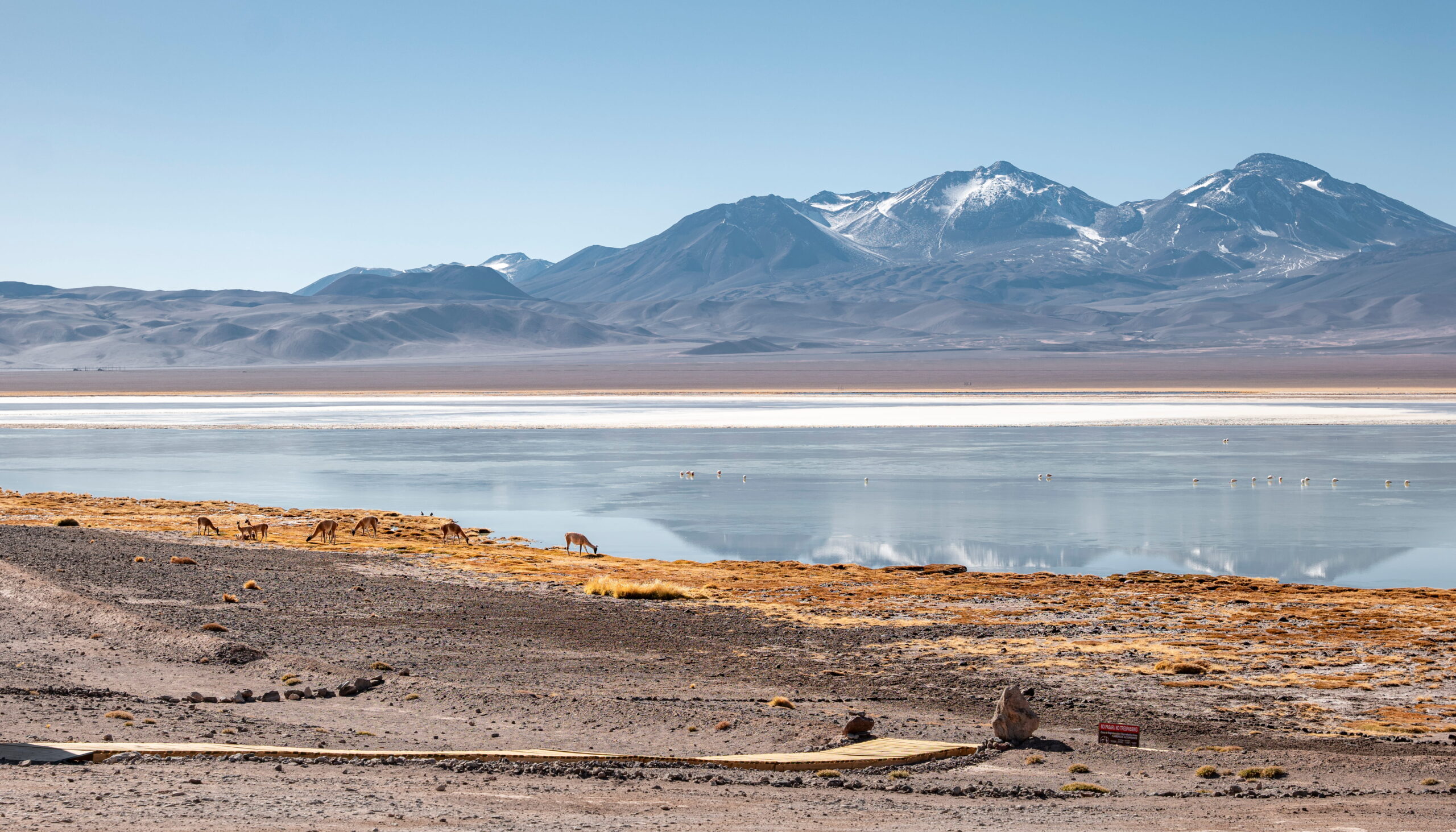 Parque Nacional Nevado Tres Cruces