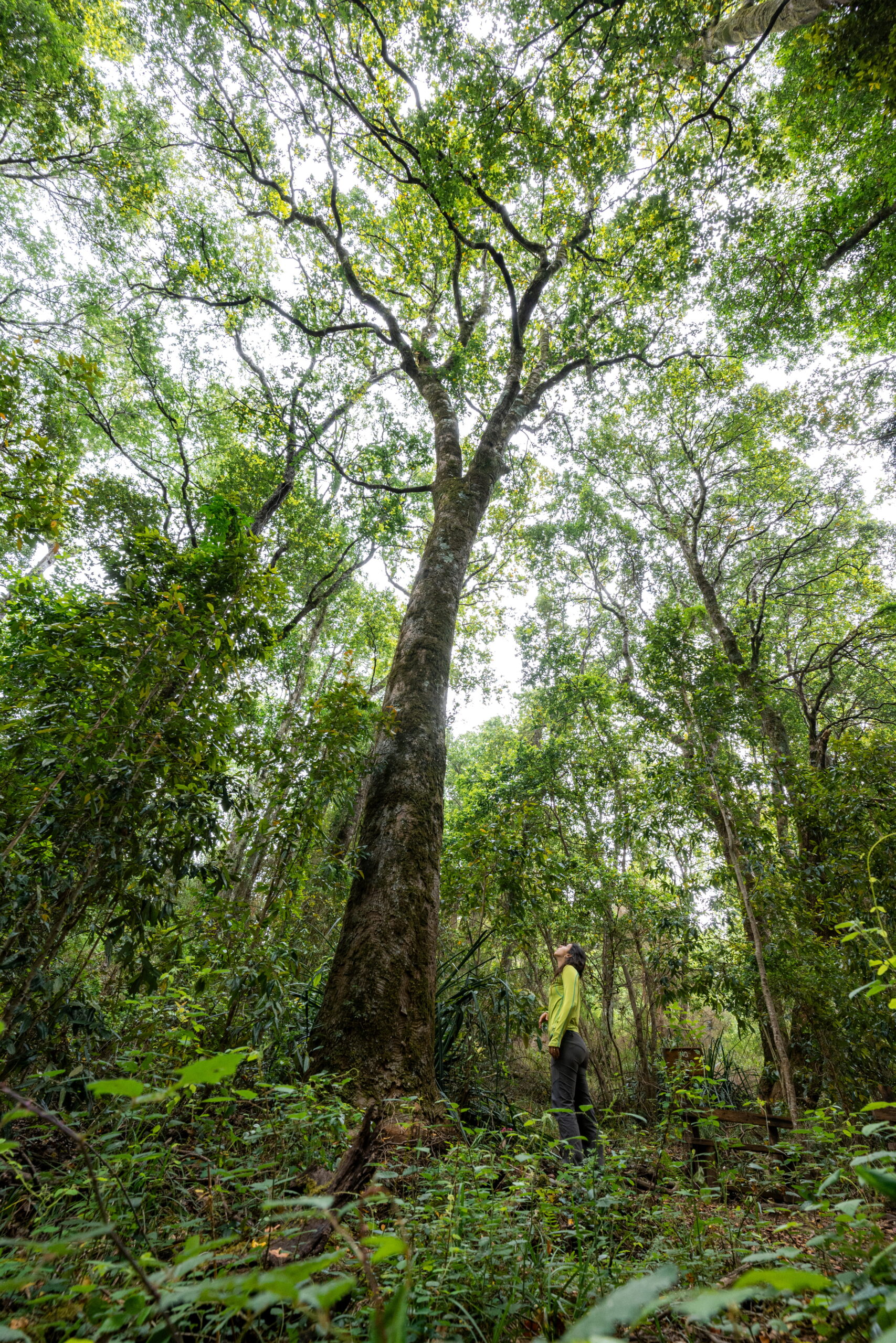 Benjamín Valenzuela