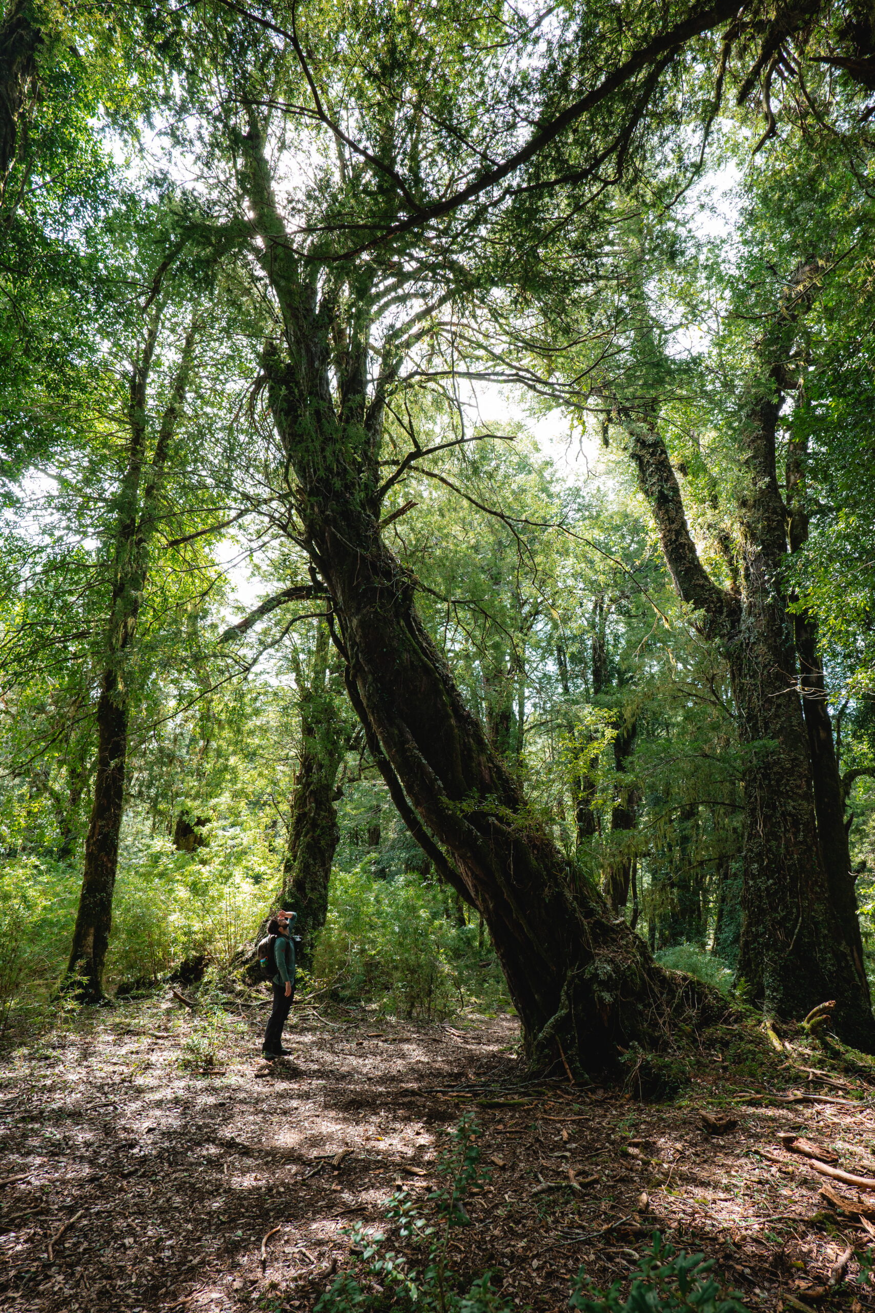 Benjamín Valenzuela