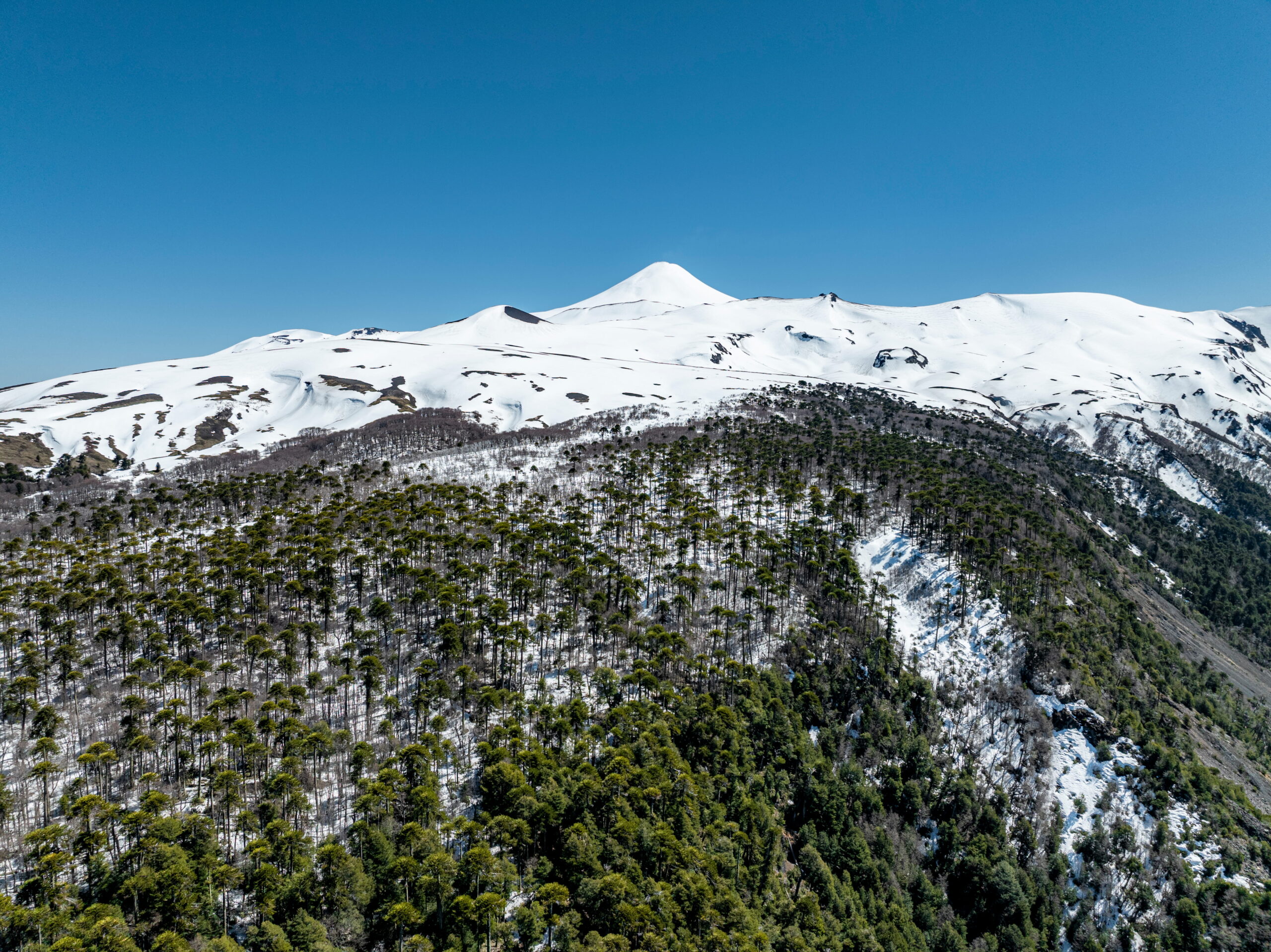 Parque Nacional Villarica