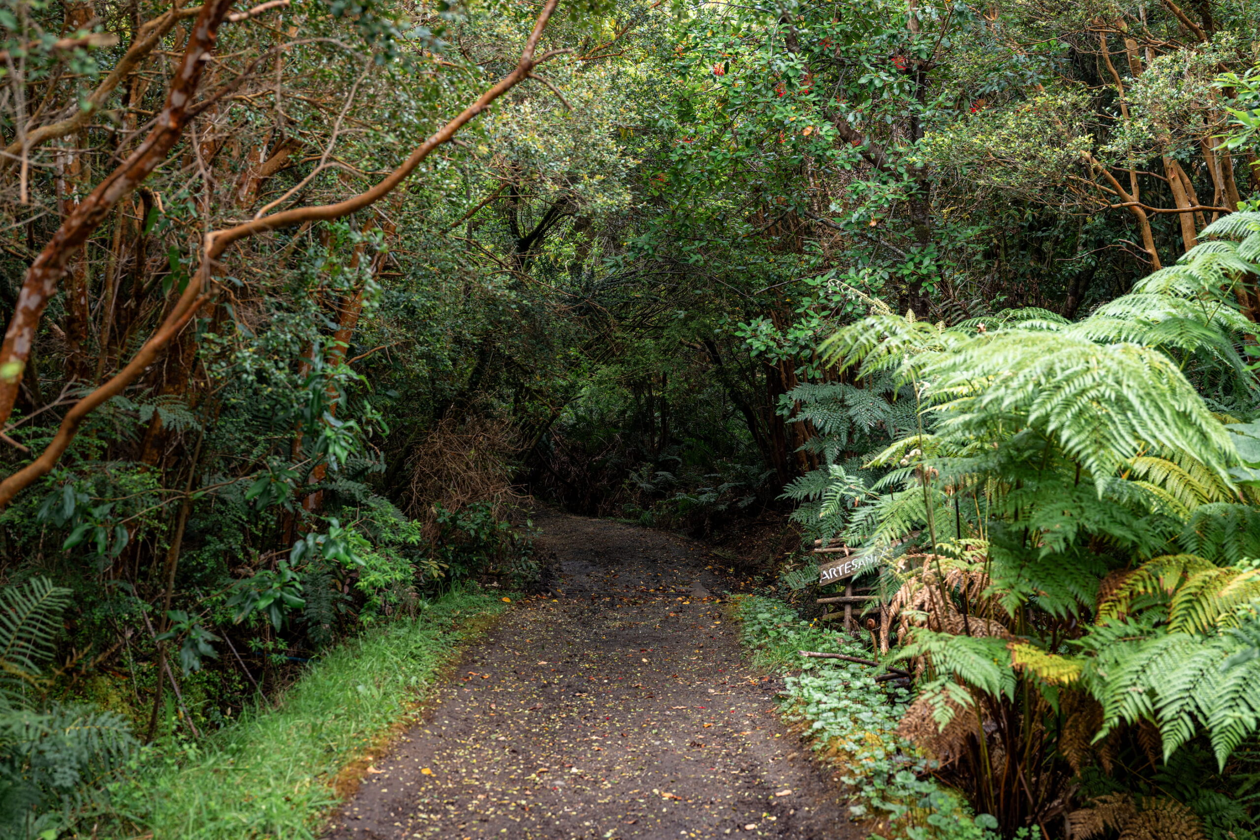 Parque Nacional Chiloé