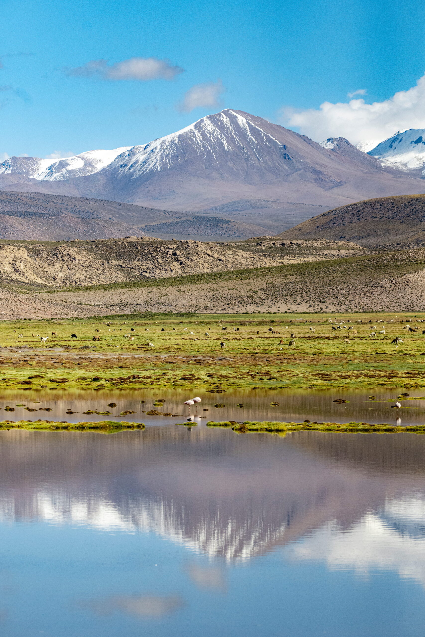 Parque Nacional Isluga