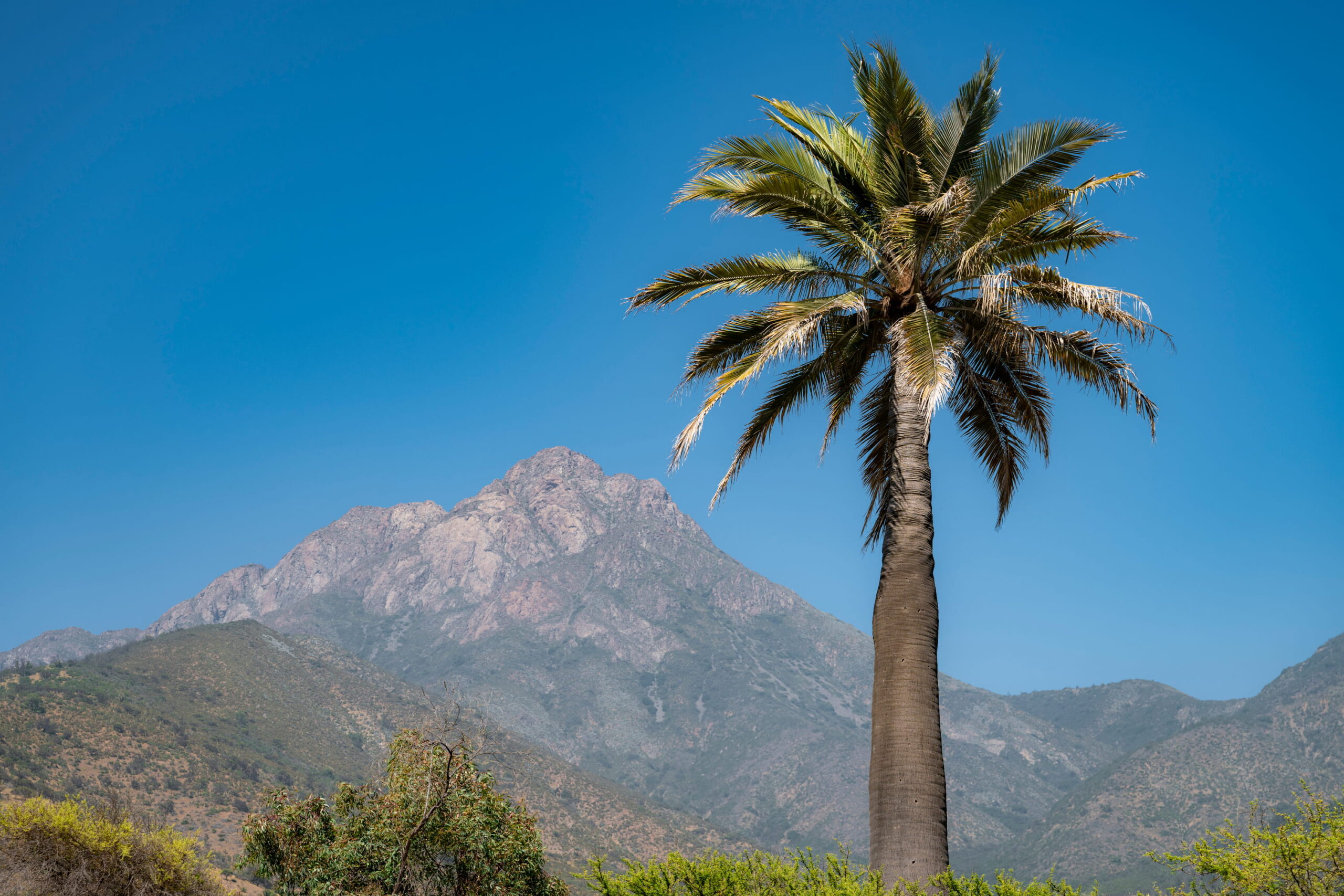 Parque Nacional La Campana