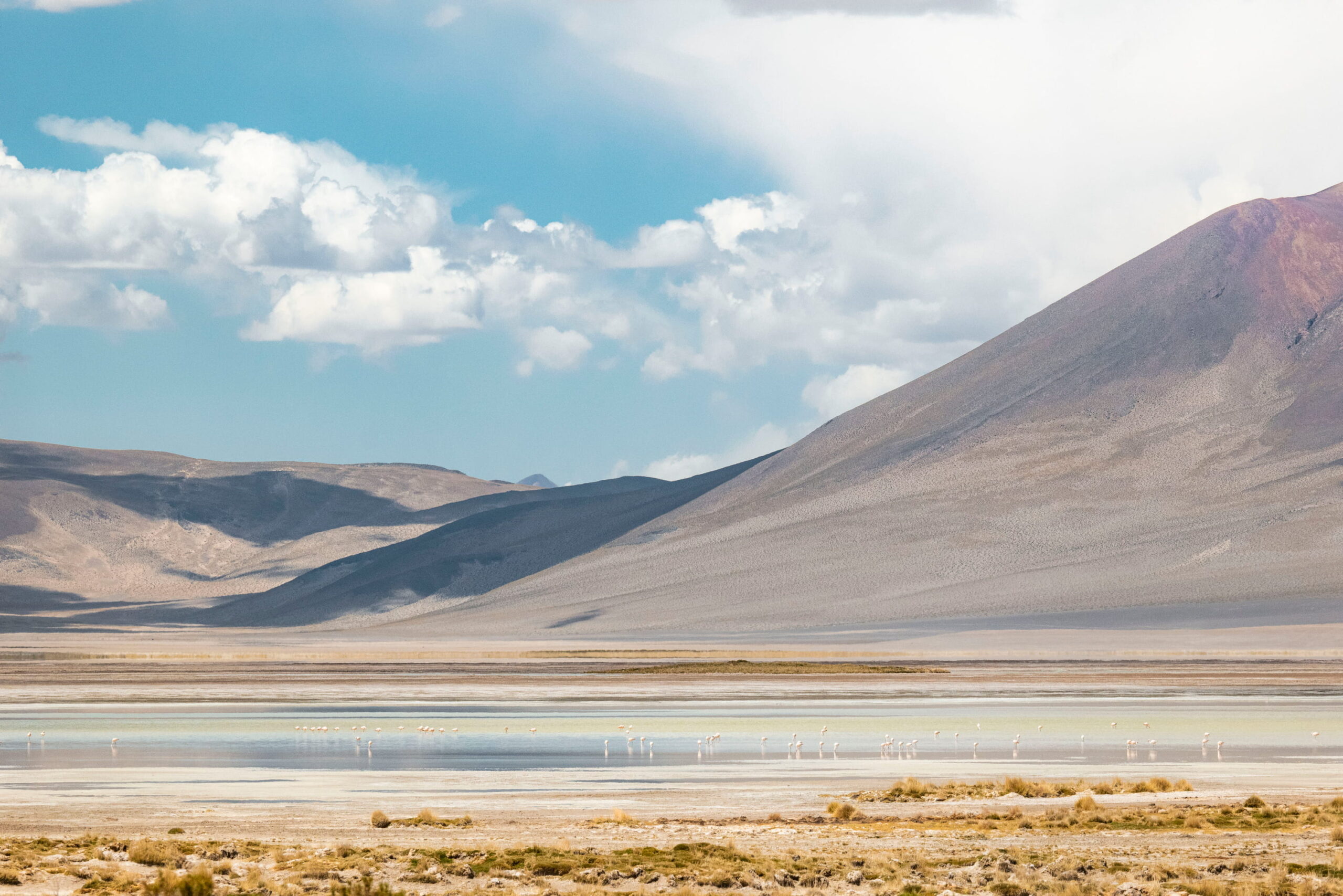 Parque Nacional Salar de Huasco