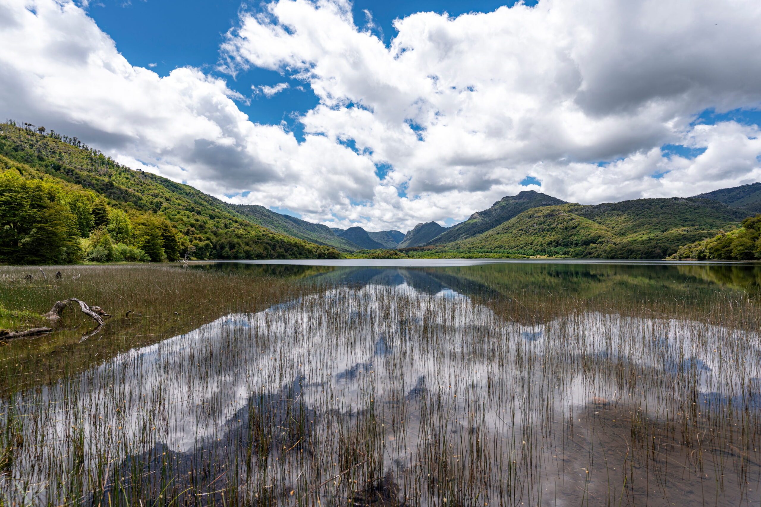 Parque Nacional Tolhuaca