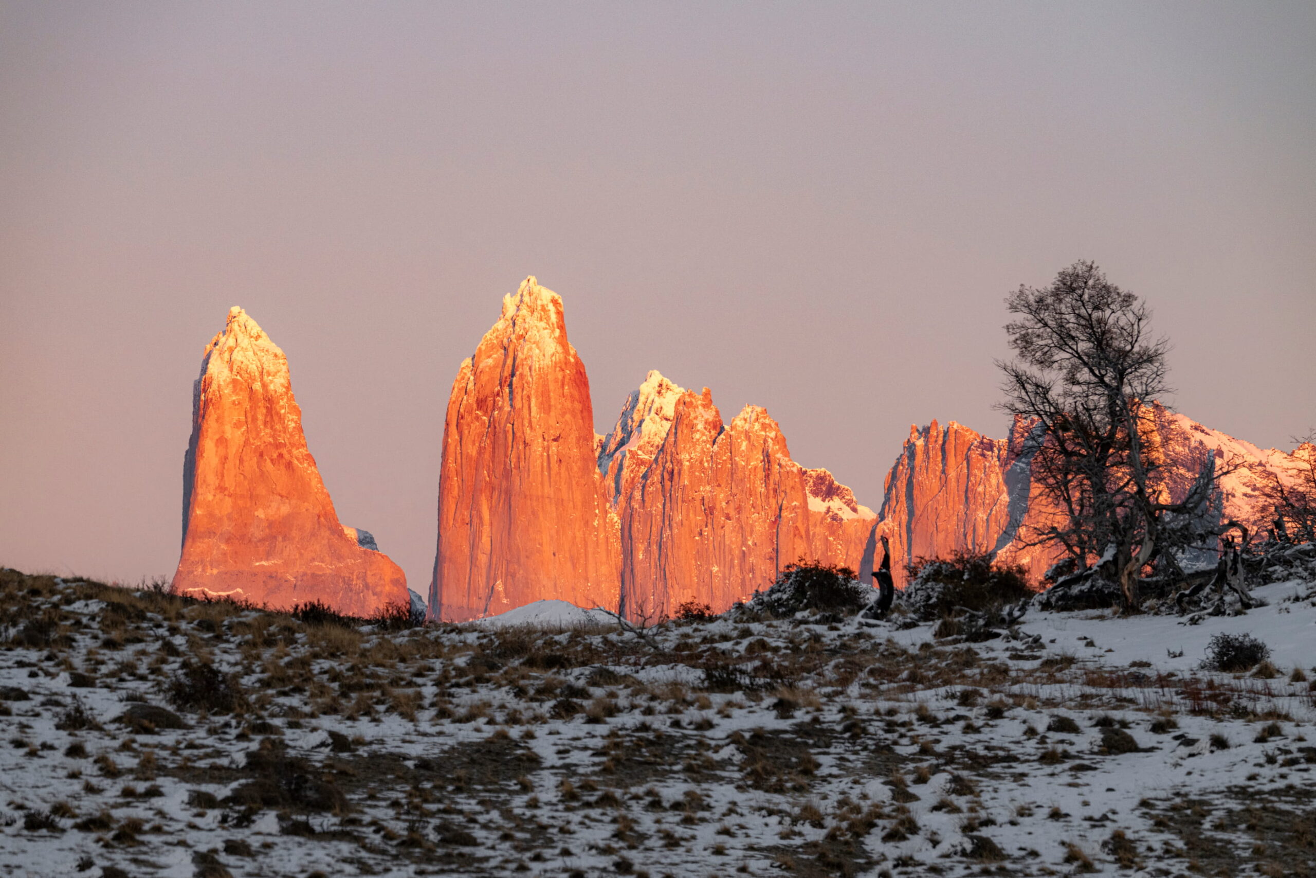 Parque Nacional Torres del Paine