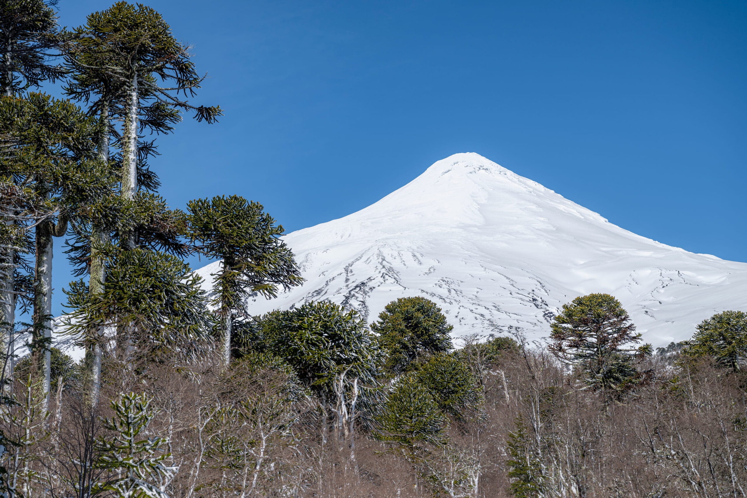 Parque Nacional Villarica