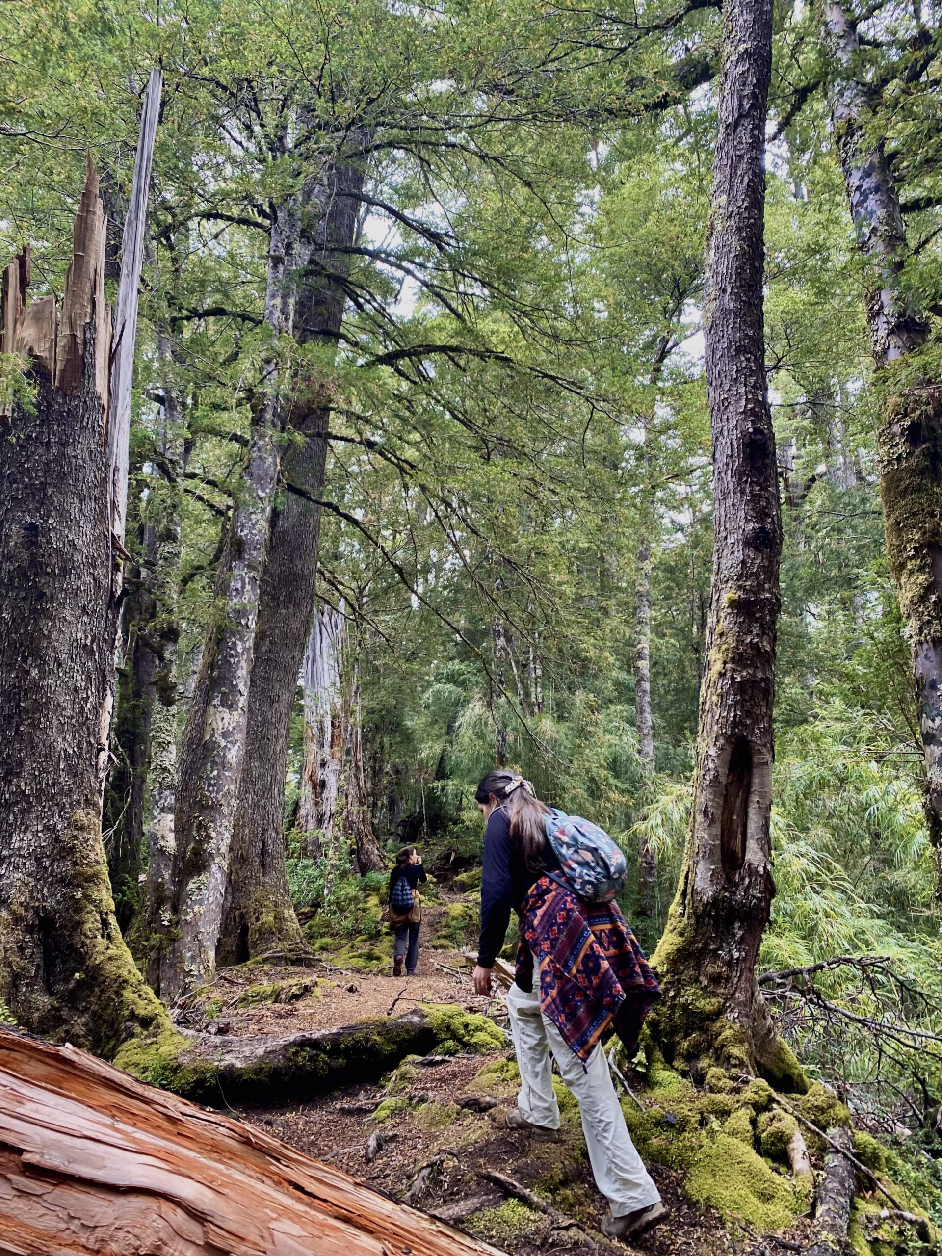 ¿Vas a recorrer un parque nacional? Conoce estas pequeñas recomendaciones para ser un buen visitante