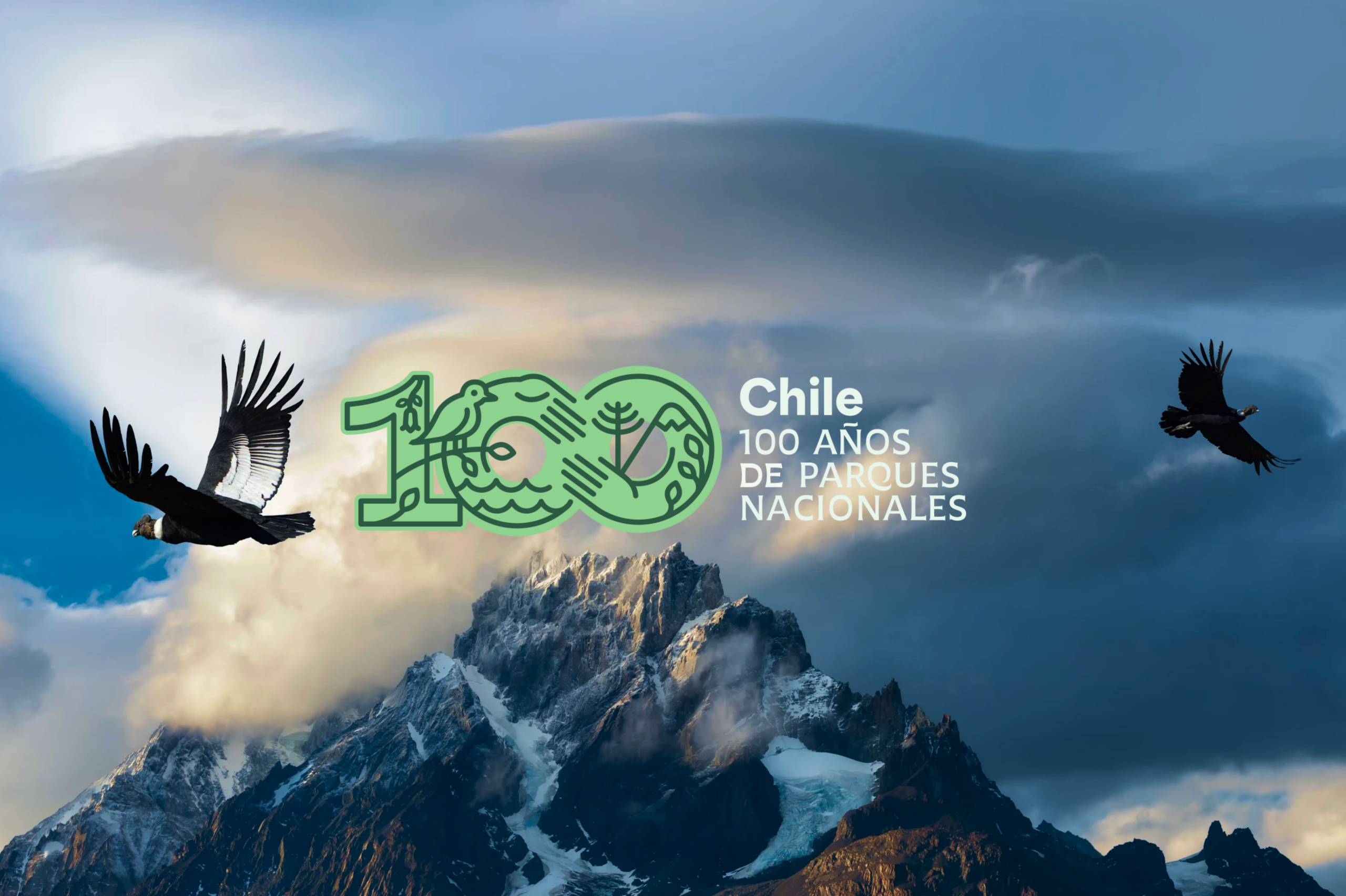 Natural es Cuidar: La campaña que celebra los 100 años de Parques Nacionales en Chile