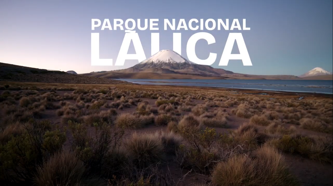 Parque Nacional Lauca: una fuente de vida en pleno altiplano