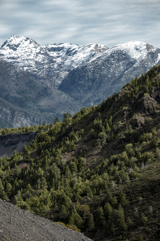 Parque Nacional Laguna del Laja (Benjamín Valenzuela)
