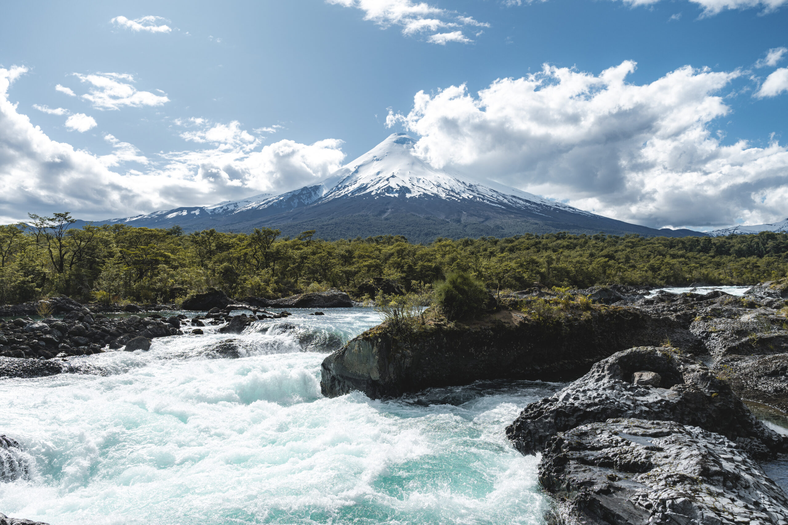Casa común: la exposición que pone a Chile a pensar en sus próximos cien años de conservación ambiental